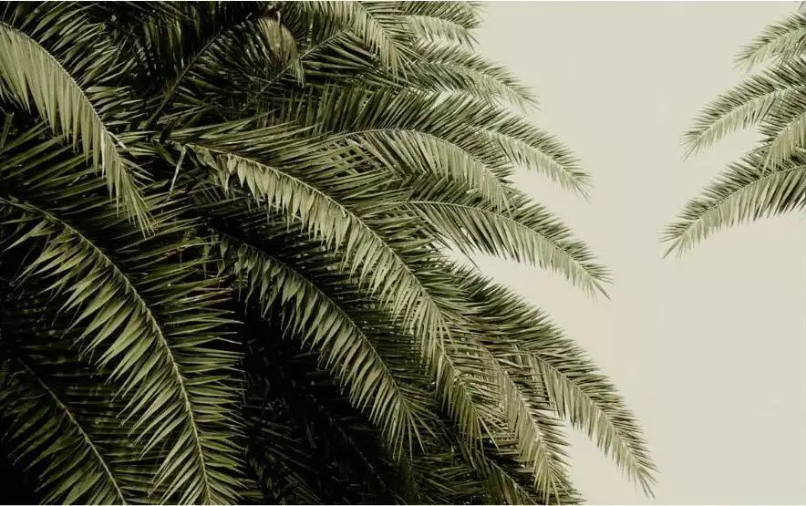 QQ20190404211537