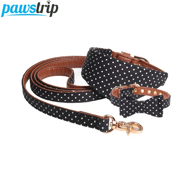 small dog collars and leashes