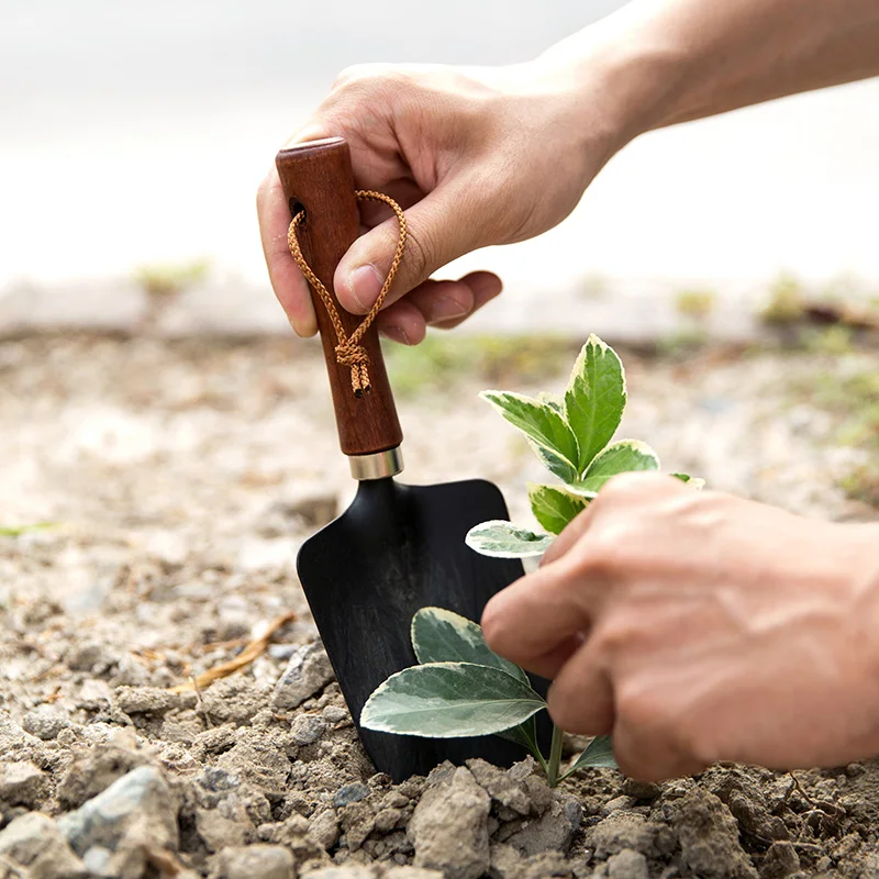 High quality gardening wood handle small shovel for forage weeding