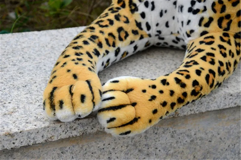 leopard6