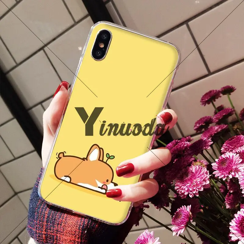 Animal cute Welsh Corgi sexy ass