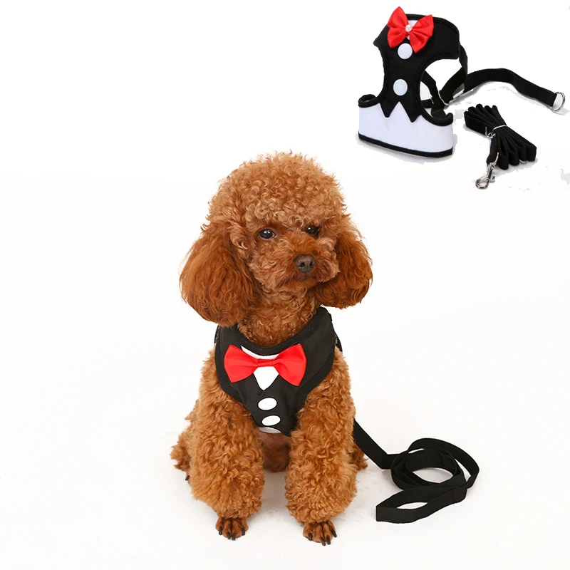 small dog harness with bow tie