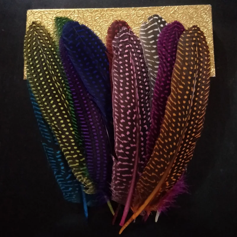 

Colors Pheasant Feathers 15-20cm 10pcs/lot Cheap Spots Long Decorative Pearl Feathers Plumes Carnival Feathers