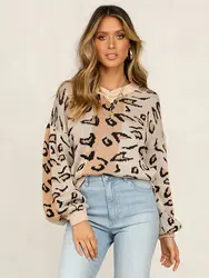 Уличная свободная леопардовая трикотажная пуловеры, свитер женский 2019 осень и зима длинный рукав v-образный вырез теплые женские свитера