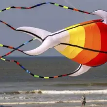 Cerf volant воздушные змеи для взрослых cometa windsock Осьминог Кайт koinobori sot игрушки для детей ripstop большой надувной змей животное 3d