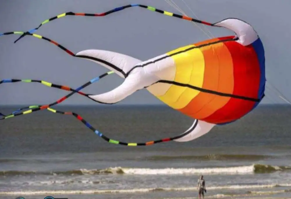 

cerf volant kites for adults cometa windsock octopus kite koinobori sot toys for children ripstop big inflatable kite animal 3d