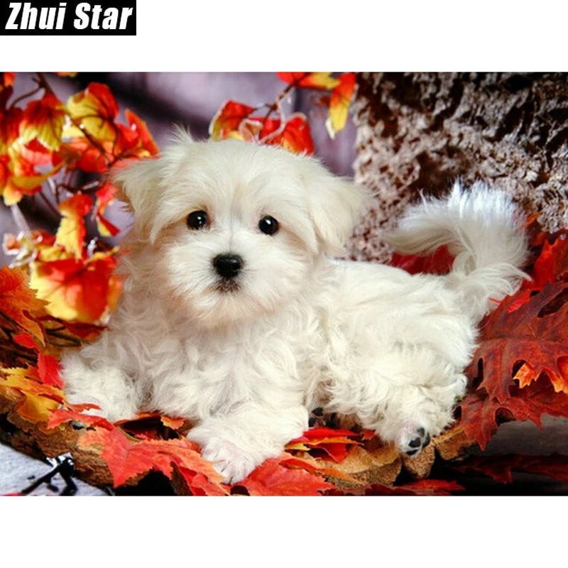 

Zhui Star Full Square Drill 5D DIY Diamond Painting "animal dog" handmade 3D Embroidery set Cross Stitch Mosaic Decor gift VIP