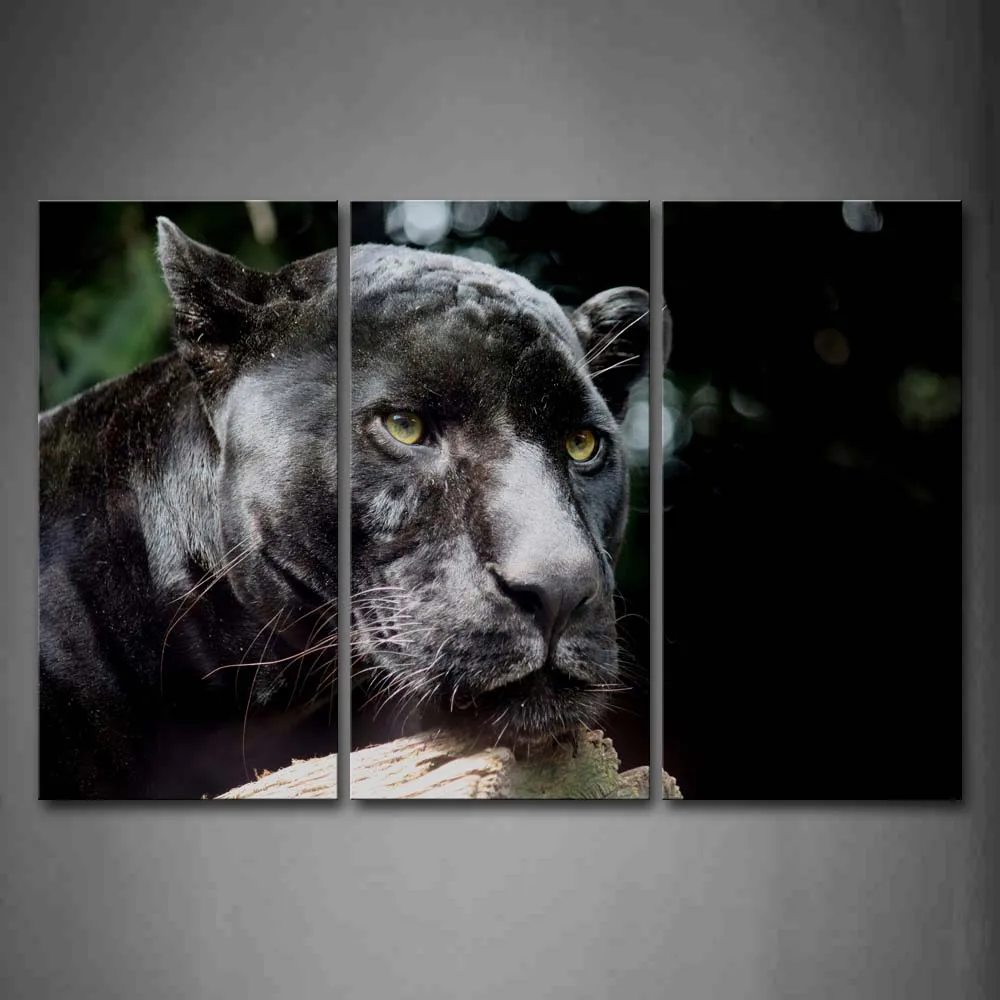 

Framed Wall Art Pictures Panther Wood Canvas Print Animal Poster With Wooden Frame For Home Living Room And Office Decor