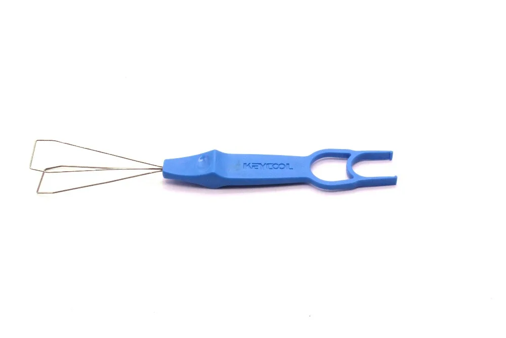 IMG_6874