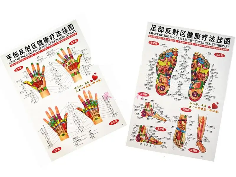 Human meridian Hand foot Visceral anatomical location map Scrapping acu