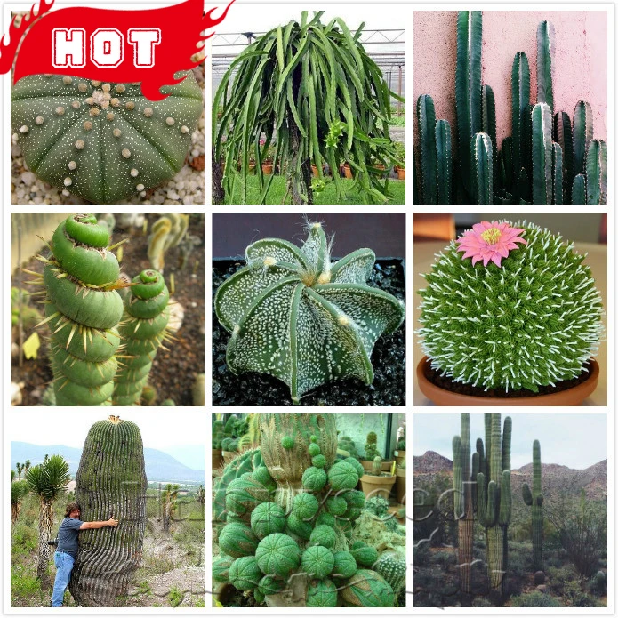 Trees for Sale at the Arbor Day Tree Nursery