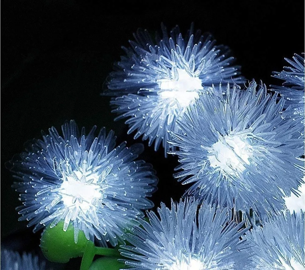 71UkVoWuUPL._SL1002_