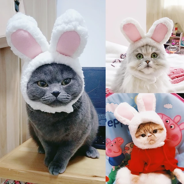 Chapéu bonito para gato desenho dos desenhos animados vestir-se traje  animal de estimação boné manter quente headwear cosplay acessórios para  gatos cães pequenos y5gb - AliExpress