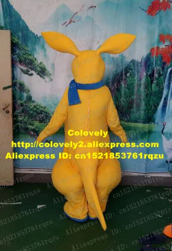 zz1232.3