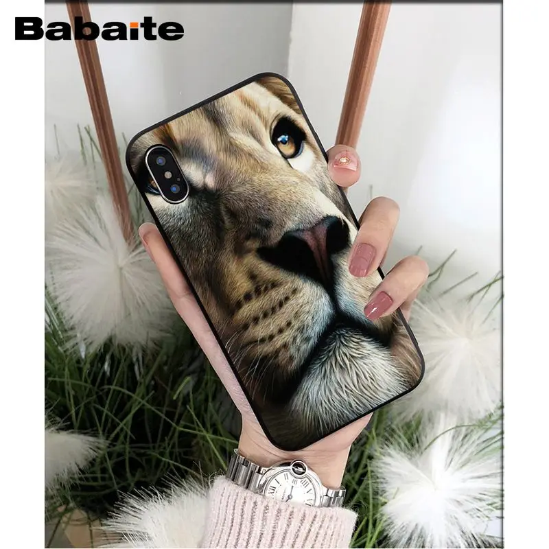 Animals lion