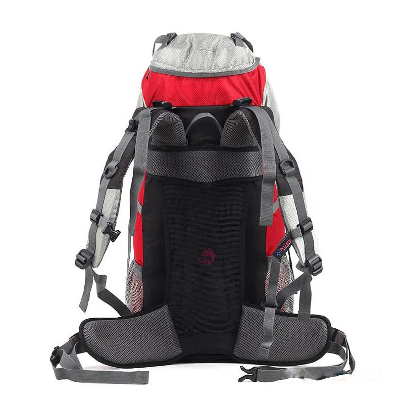 Известный бренд 50л уличный рюкзак спортивный походный туристический рюкзак туристические сумки для альпинизма горные Рюкзаки Сумка