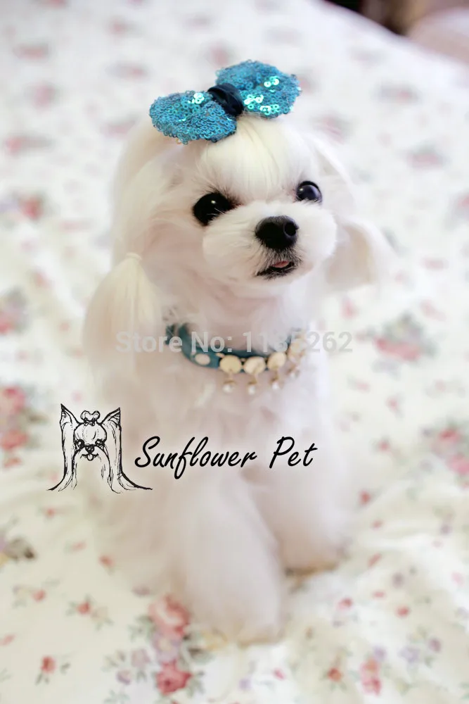 [South Korea ] pet sparkling wedding tiara ( pet accessories hairpin