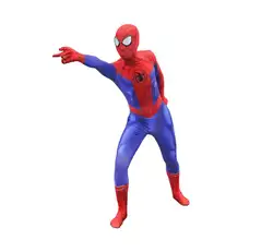 Spider-Man Into Spider-Verse Peter Benjamin Parke косплей костюм супергерой zentai шаблон боди костюм комбинезоны для взрослых и детей