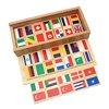 2022 New Arrival Montessori Wood Domino Blocks 80Pcs Flags Domino with Wooden Box Toys for Children Preschool Gift for Boys Girl ► Photo 2/6