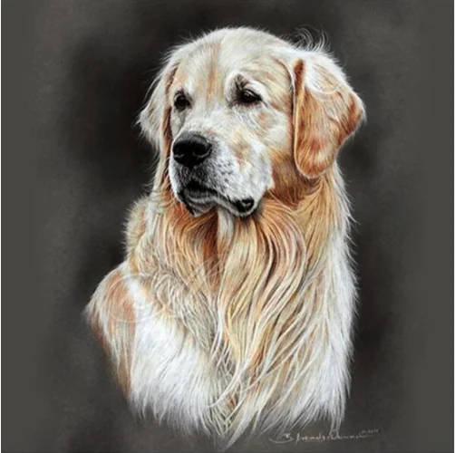 

5D DIY Diamond Painting Dog Crystal Diamond Painting Cross Stitch Golden Retrievers Animal Needlework Home Decorative