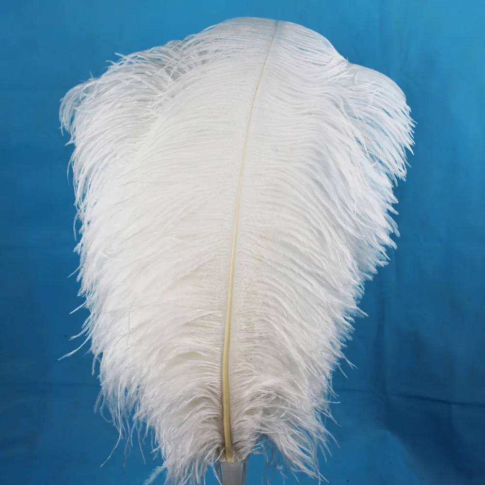 Страусовое перо Страусовое перо