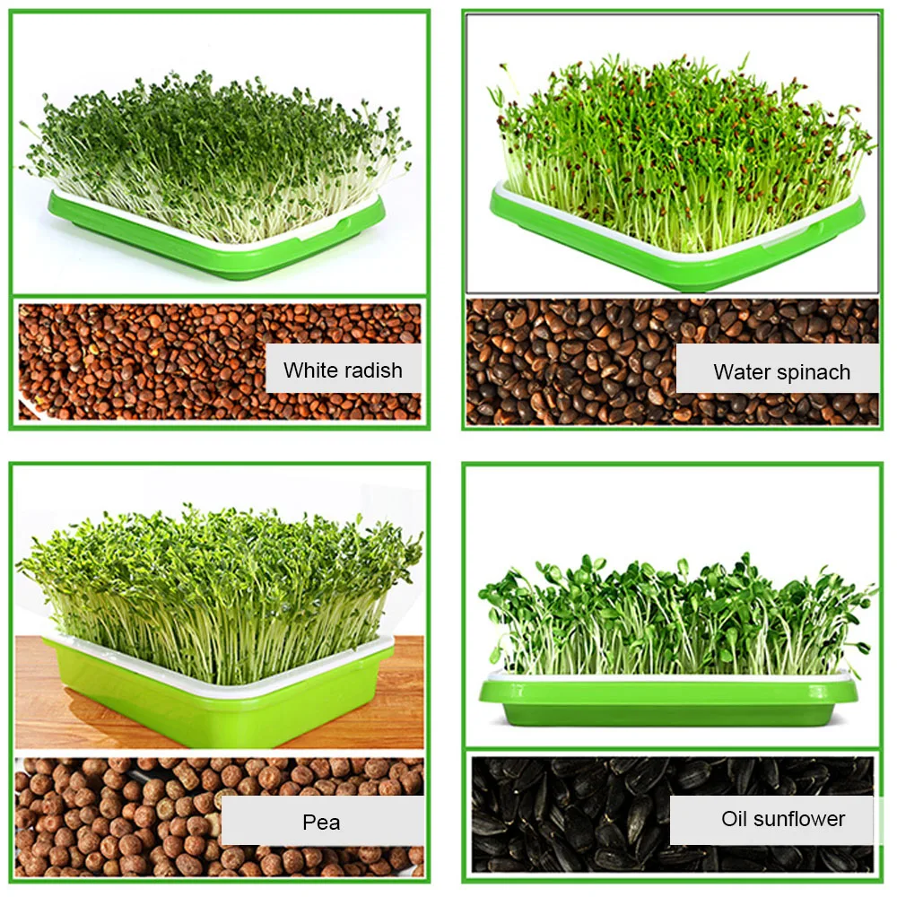 Behogar 4 Set Double-layer Plant Seed Sprouter Germination Tray for Garden Beans Peas Mung Wheat Grass Alfalfa Vanilla Radish Behogar 4 Set Double-layer Plant Seed Sprouter Germination Tray for Garden Beans Peas Mung Wheat Grass Alfalfa Vanilla Radish