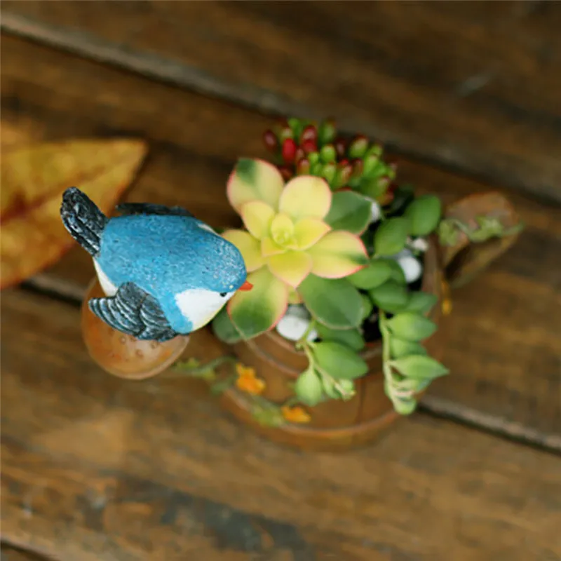 VB0249 (6)