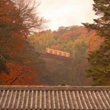 Fall Color around Cable Train Railway  Kyoto  Japan Poster Print by Shin Terada (36 x 24)