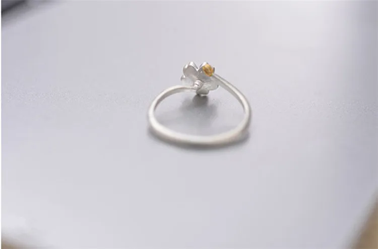 4756307736_902822302