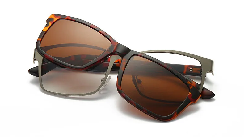 tortoise brown