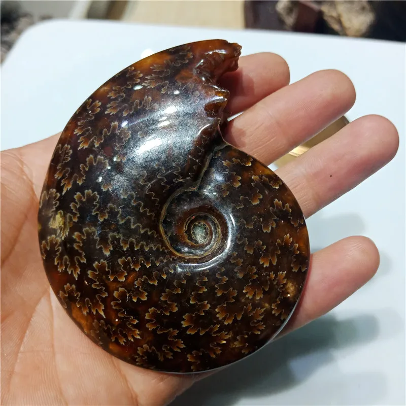 IMG20190224112156