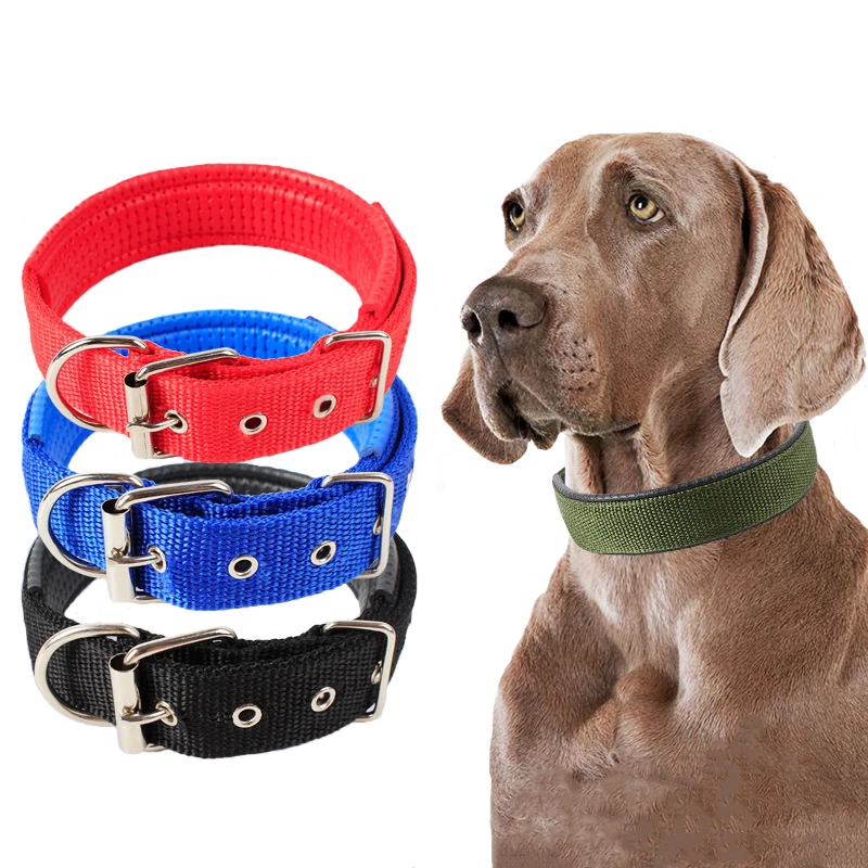 Strong Canvas Nylon Dog Collar Double Row Adjustable Buckle Pet Collar
