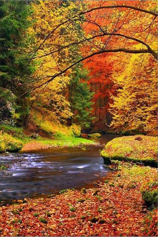 Hot Sale Diy 5D Diamond Painting Autumn Pond Full Round Mosaic Picture Embroidery Landscape Pattern Rhinestones | Дом и сад