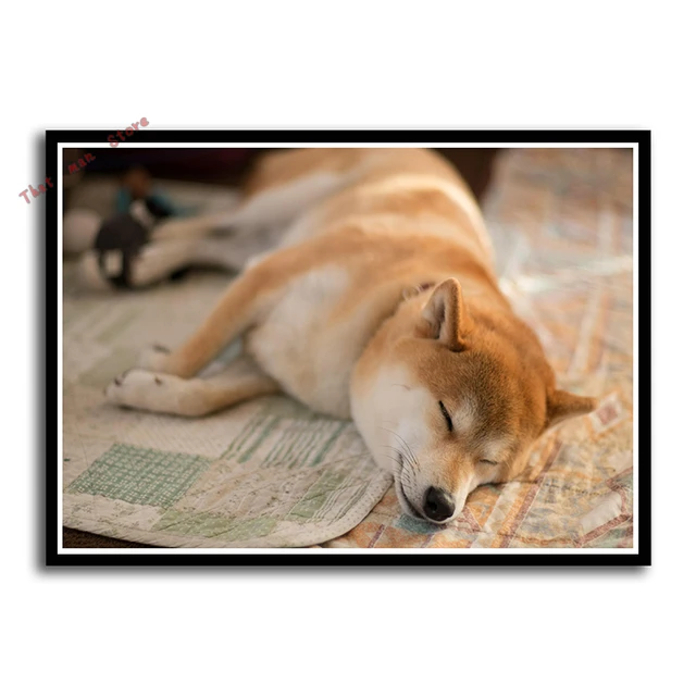 Funny Dog Art Prints Pet Puppy Hipster Animals Wall Paintings Nursery