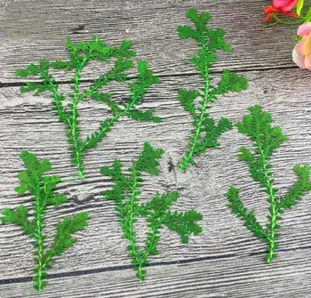 

100pcs Pressed Dried Water Plant Waterweed Leaf Leaves Plant Herbarium For Jewelry Pendant Craft Bookmark Making Accessories DIY