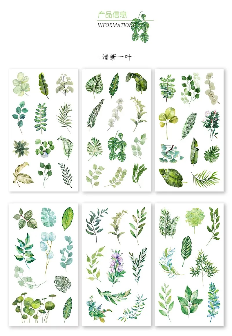 IMG_9006