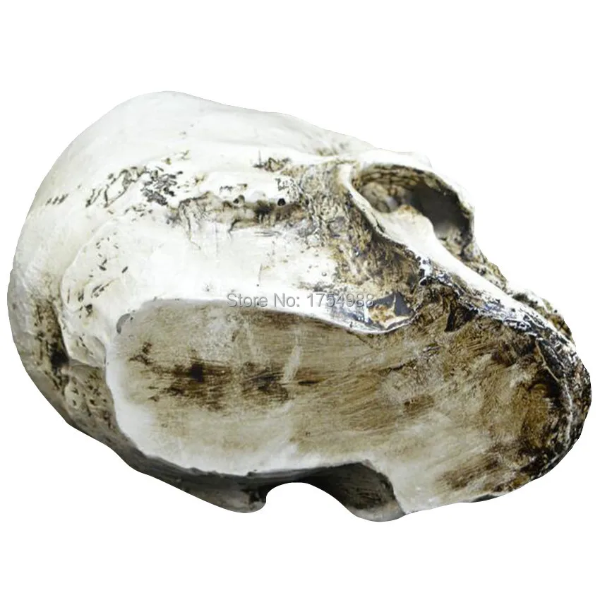Resin Head Skull (5).jpg