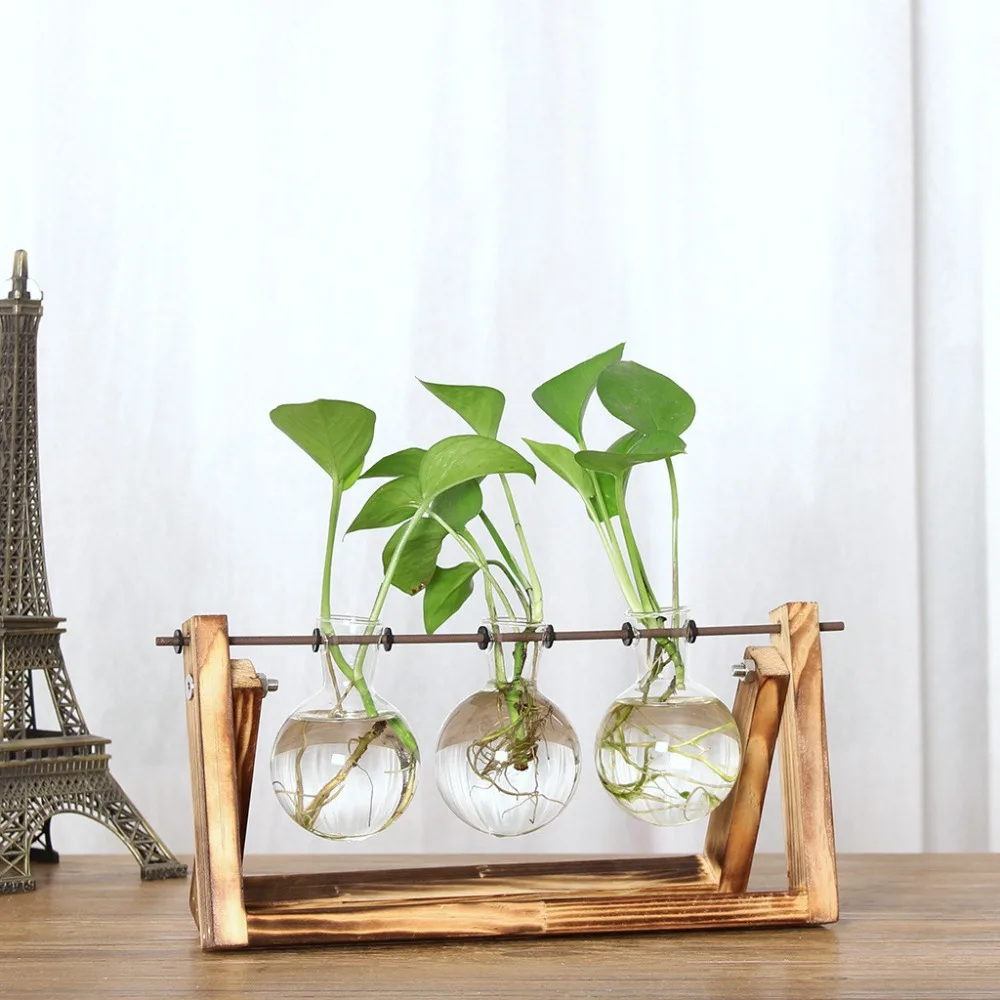 Vintage Creative Hydroponic Plant Transparent Circular Vase Wooden Frame Coffee Shop Room Glass Tabletop Bonsai home Decor | Дом и сад