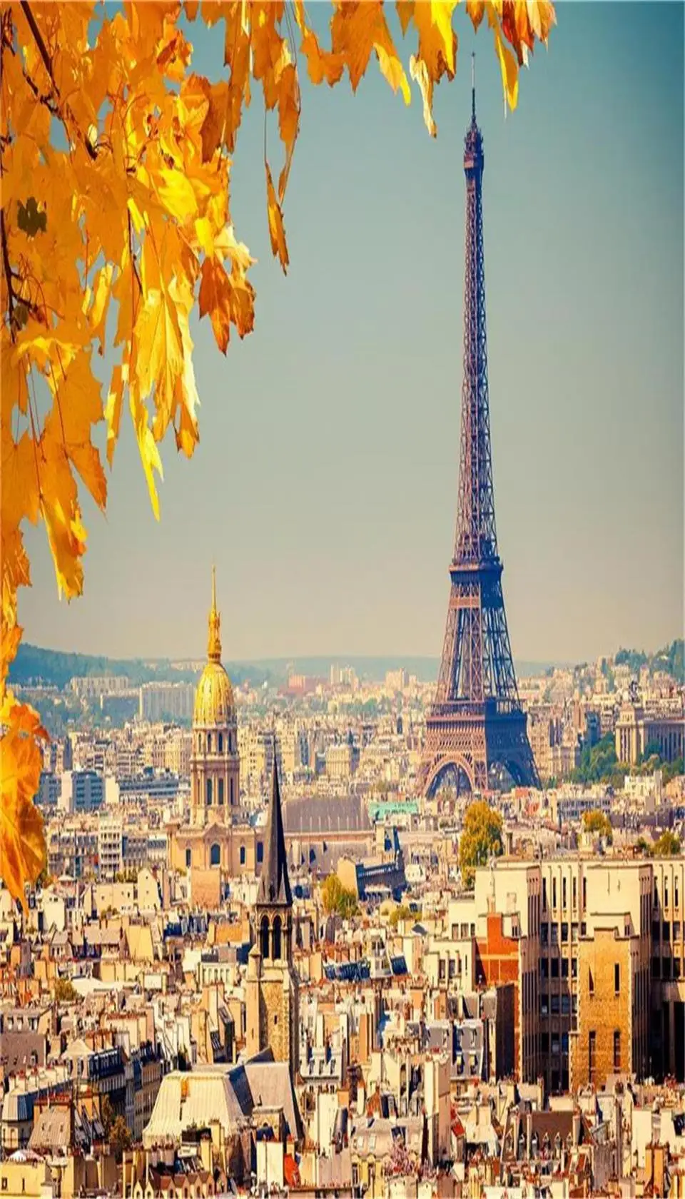 528f01b3d20c0 - 