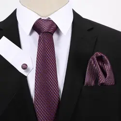 Галстук набор для мужчин качество фиолетовый цветочный галстук и шейный платок человек Corbatas Hombre Свадебный квадратный Карманный