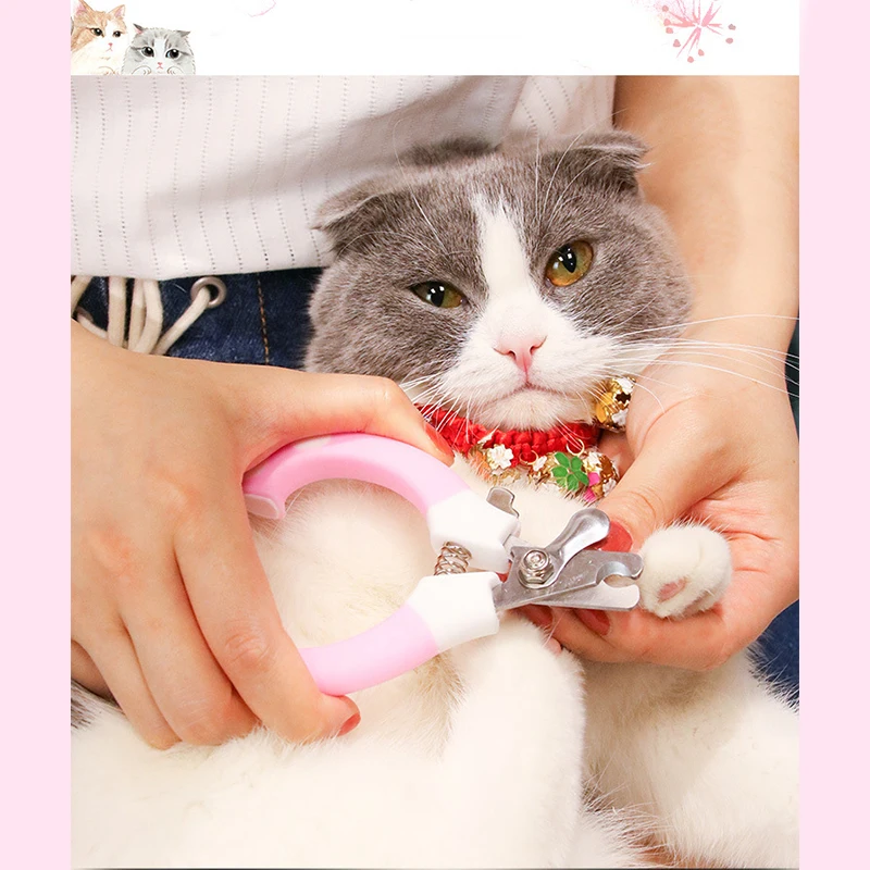 

Professional Pet Dog Nail Scissors Stainless Steel Grooming Scissors Animal Scissors Lock Nail Clipper with Lock Set Size S M