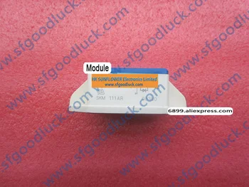 

SKM111AR Power MOSFET Module 100V 200A Case D15 weight:130g