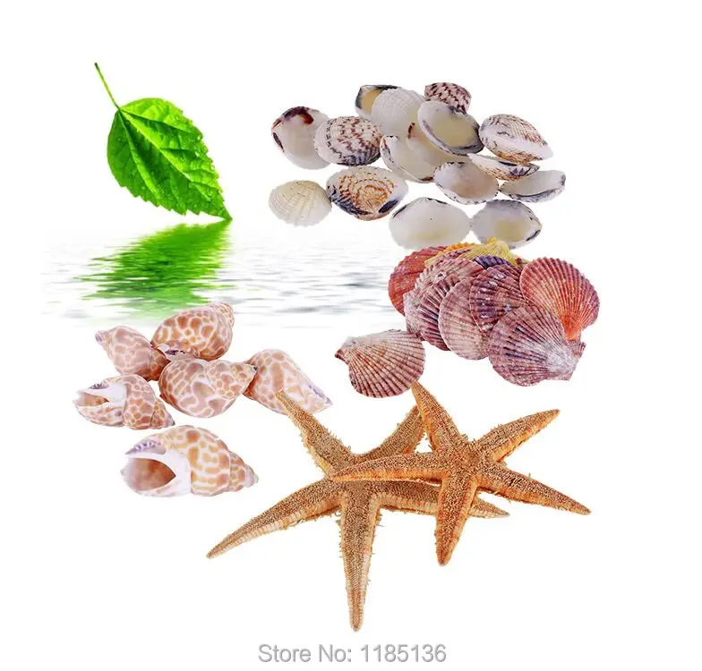 200 г/лот натуральные рыбки Морская звезда цветы раковины аквариумные аксессуары