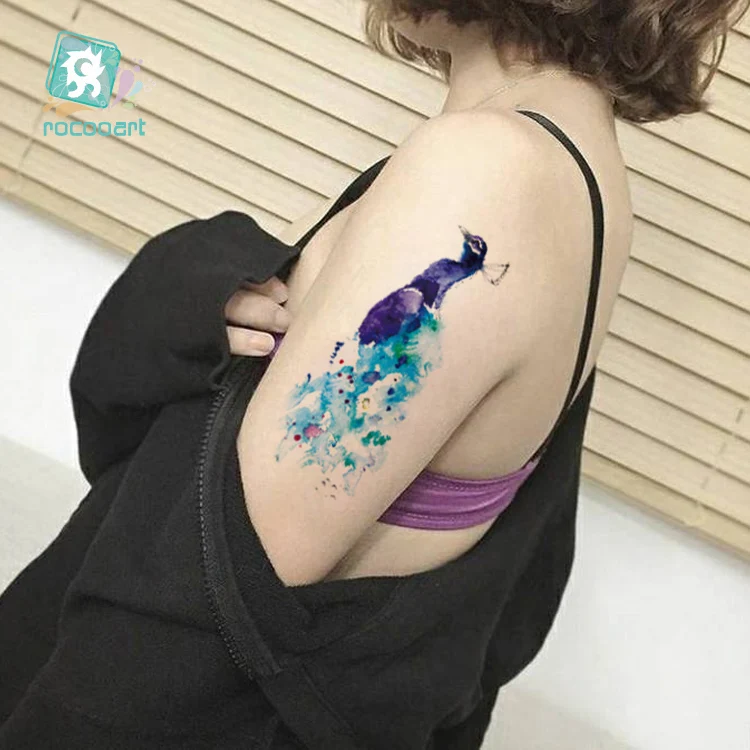 SC-896++