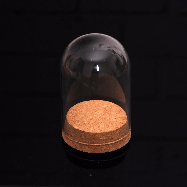 4Pcs-set Dome Clear Glas Wooden Cork Base Shade Cover Shield Shelf Display Home Decorations