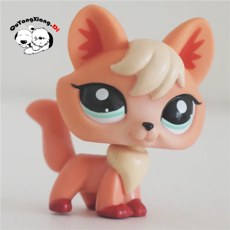 CWM075 Pet Shop животного золотой свет orange цветок ухо котенок Кукла фигурку | Игрушки и