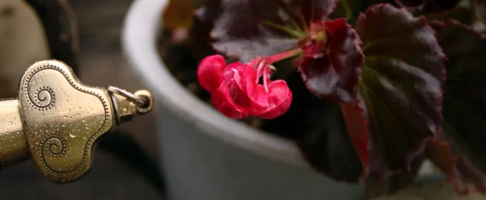 36020150911224500525