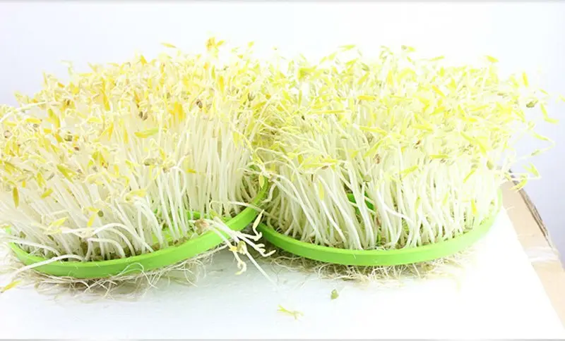 Bean Sprout Maker большой емкости Новое Обновление Умный зеленый Семена бобов, растущий автоматический аппарат для проращивания фасоли 220 В