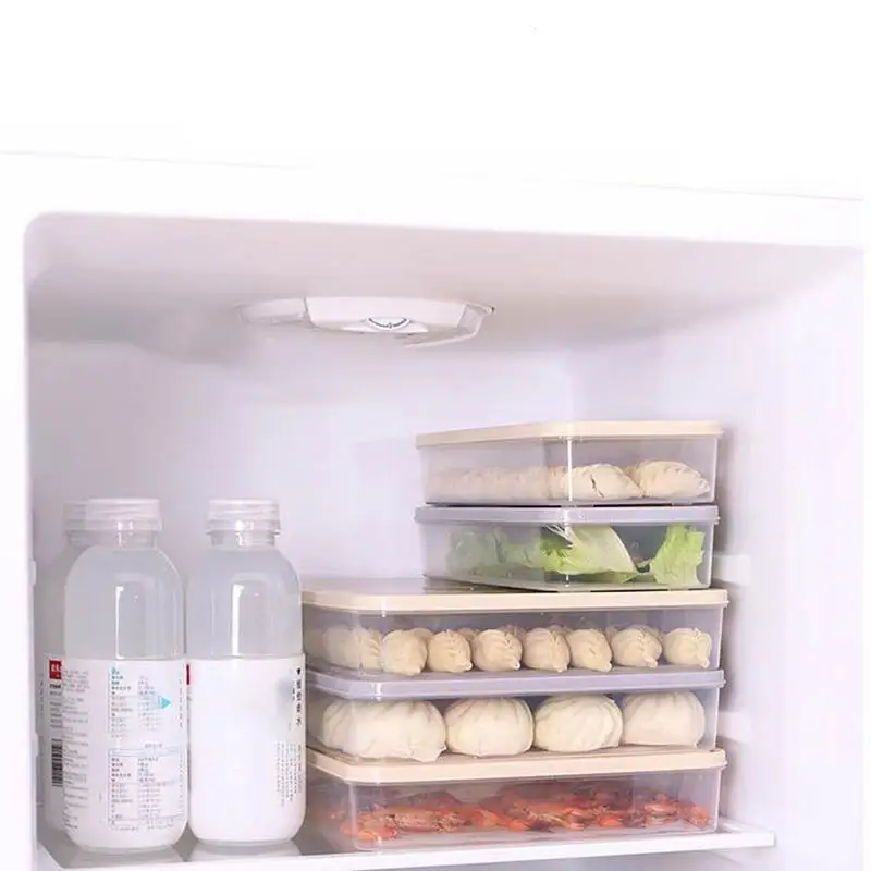 

Food Keeping Storage Boxes Refrigerator Noodles Instant Frozen Dumpling Unseparated Household Sorting Dumplings Containers