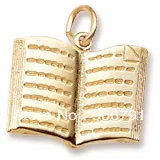 

100 pcs shinning gold plating 3D open book charms